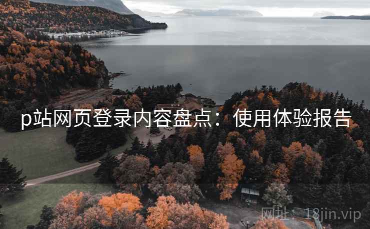 p站网页登录内容盘点：使用体验报告