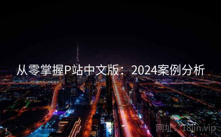 从零掌握P站中文版：2024案例分析