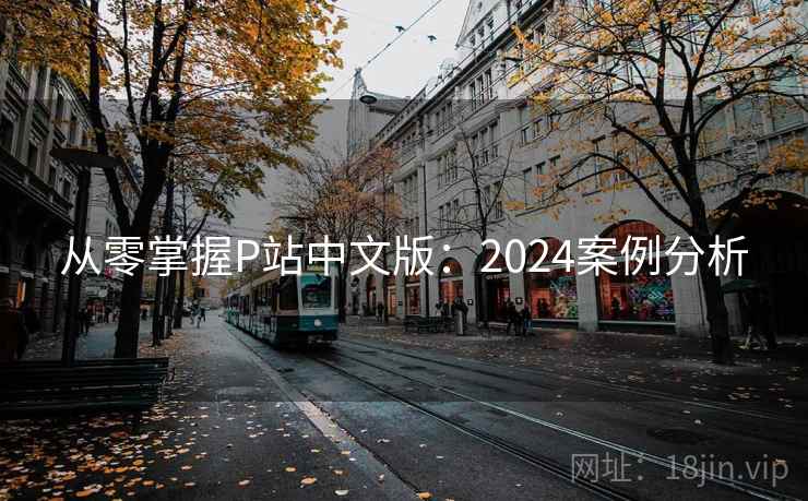 从零掌握P站中文版：2024案例分析