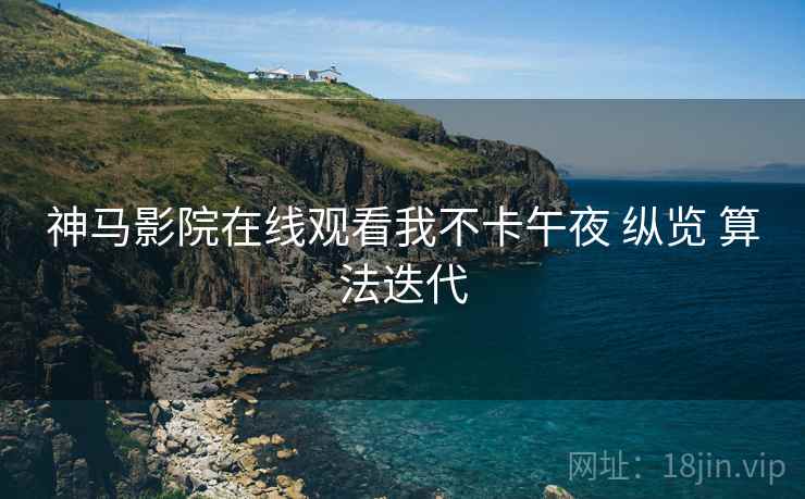 神马影院在线观看我不卡午夜 纵览 算法迭代