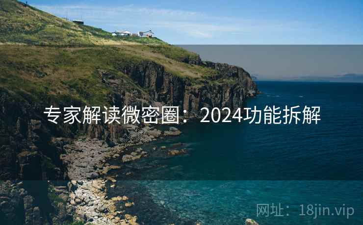 专家解读微密圈：2024功能拆解