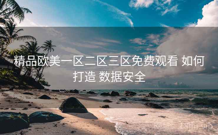 精品欧美一区二区三区免费观看 如何打造 数据安全