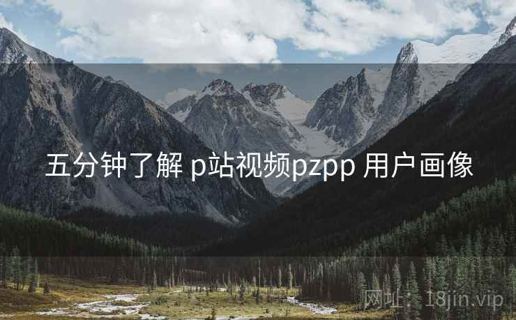 五分钟了解 p站视频pzpp 用户画像