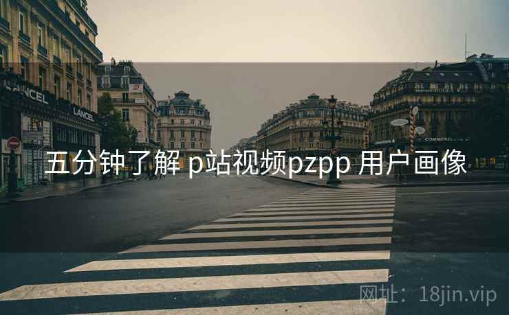 五分钟了解 p站视频pzpp 用户画像