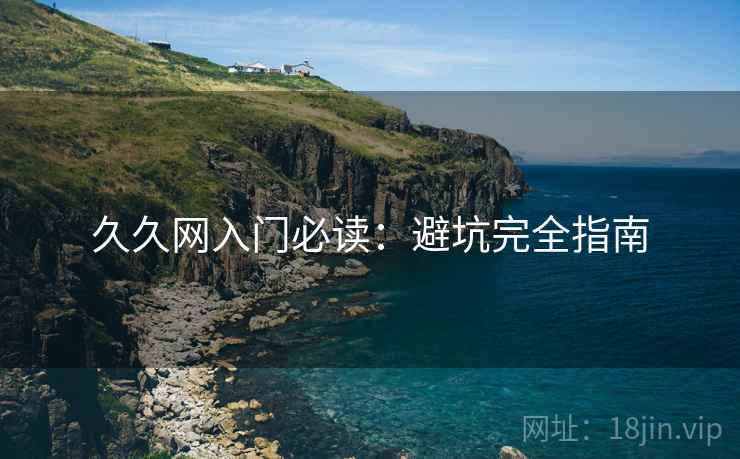 久久网入门必读：避坑完全指南
