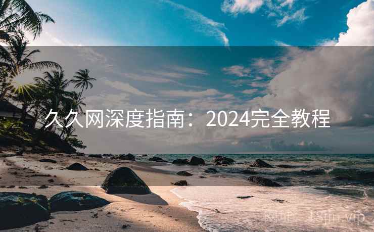 久久网深度指南：2024完全教程