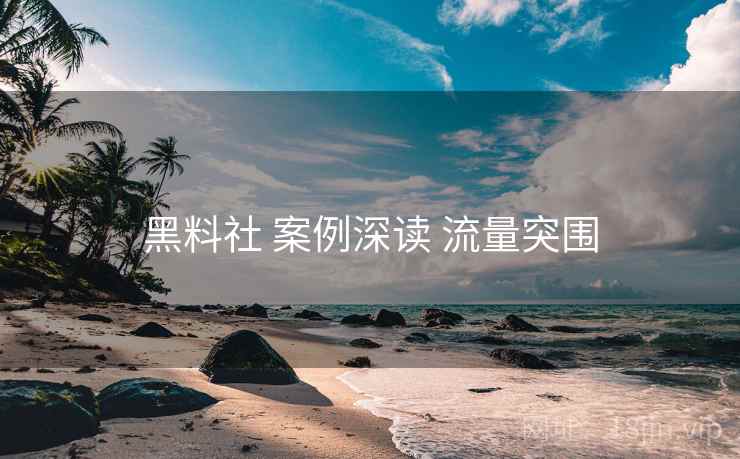 黑料社 案例深读 流量突围