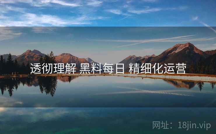 透彻理解 黑料每日 精细化运营