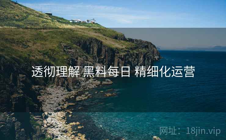 透彻理解 黑料每日 精细化运营