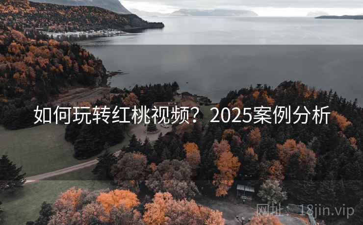 如何玩转红桃视频？2025案例分析