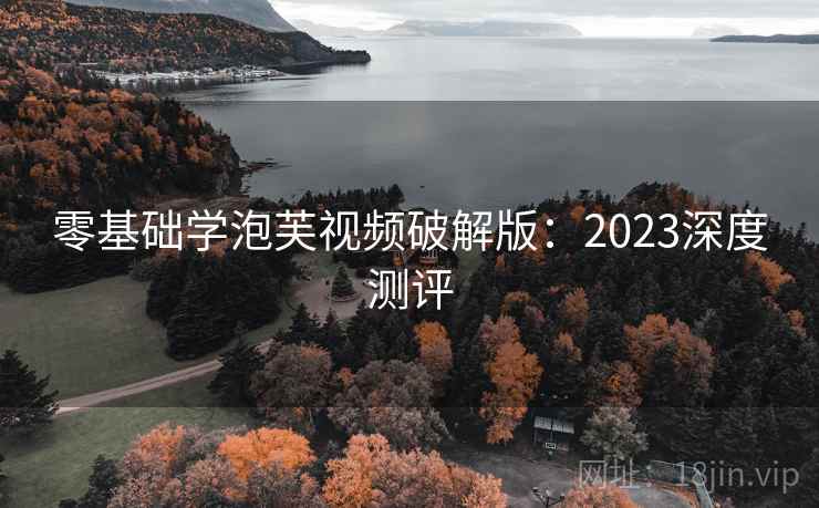 零基础学泡芙视频破解版：2023深度测评
