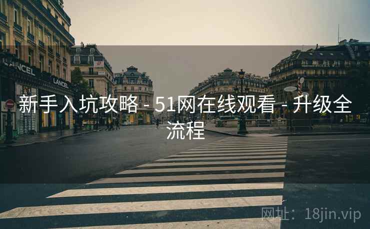 新手入坑攻略 - 51网在线观看 - 升级全流程