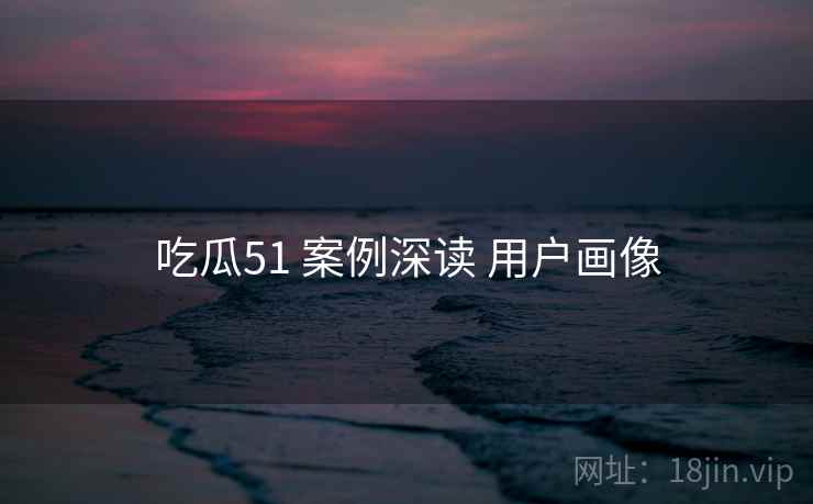 吃瓜51 案例深读 用户画像