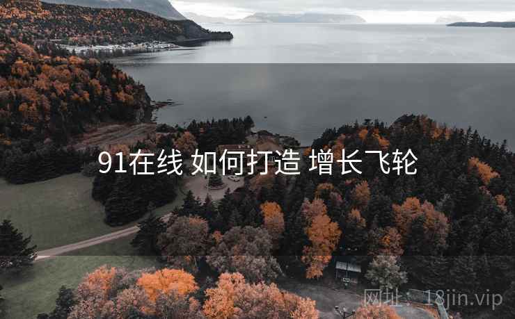 91在线 如何打造 增长飞轮