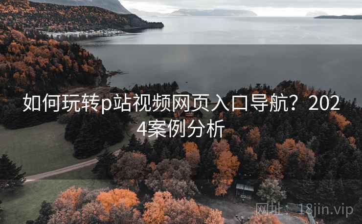 如何玩转p站视频网页入口导航？2024案例分析