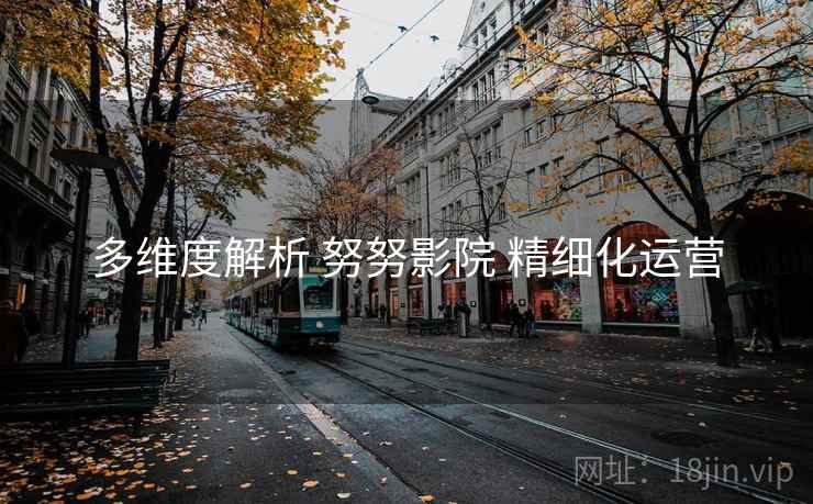 多维度解析 努努影院 精细化运营