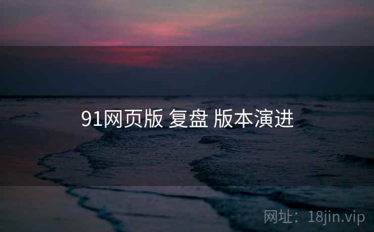 91网页版 复盘 版本演进