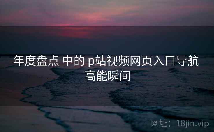 年度盘点 中的 p站视频网页入口导航 高能瞬间
