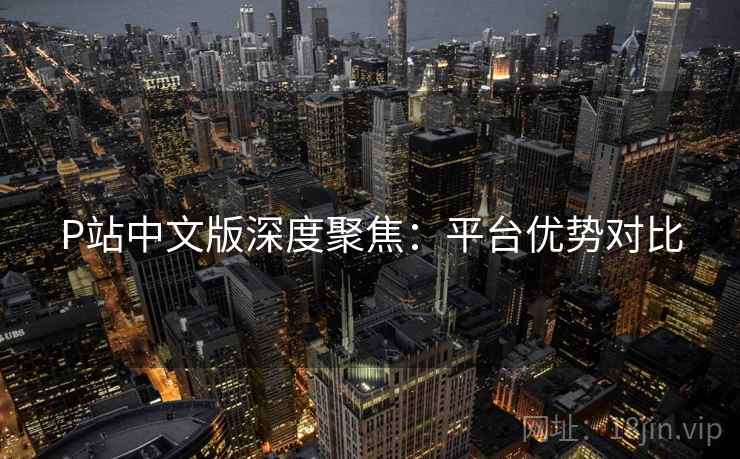 P站中文版深度聚焦：平台优势对比