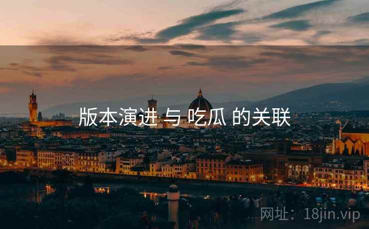 版本演进 与 吃瓜 的关联