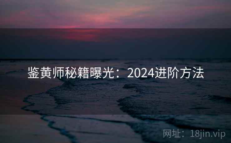 鉴黄师秘籍曝光：2024进阶方法