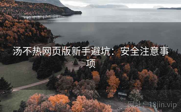 汤不热网页版新手避坑：安全注意事项