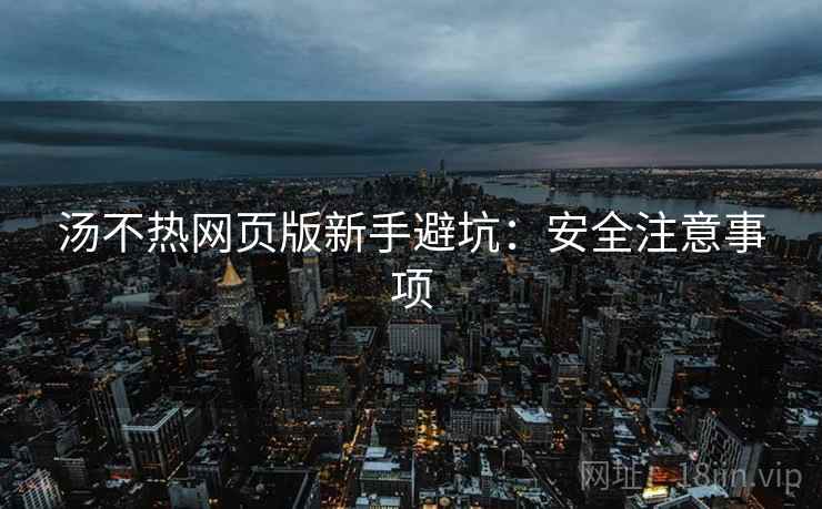 汤不热网页版新手避坑：安全注意事项