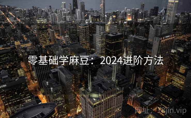 零基础学麻豆：2024进阶方法