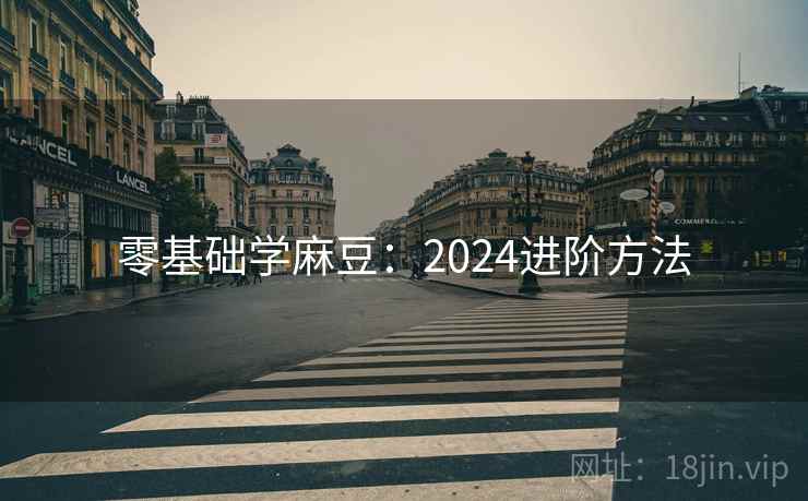 零基础学麻豆：2024进阶方法