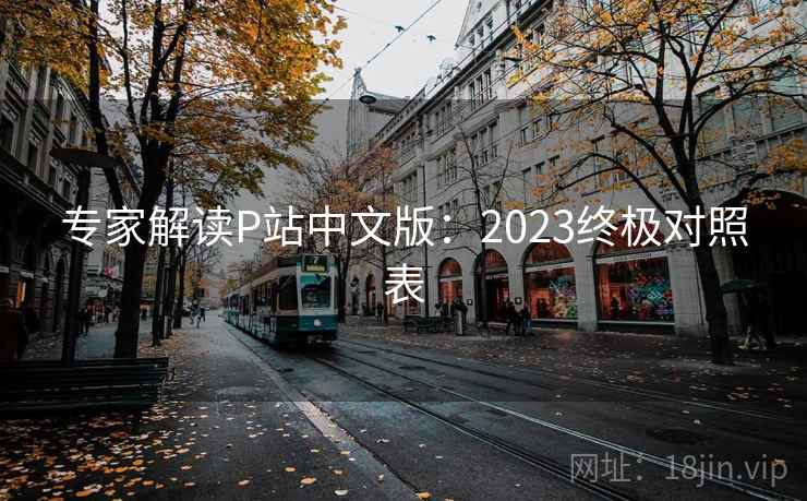 专家解读P站中文版：2023终极对照表