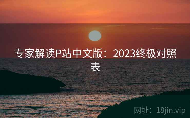 专家解读P站中文版：2023终极对照表