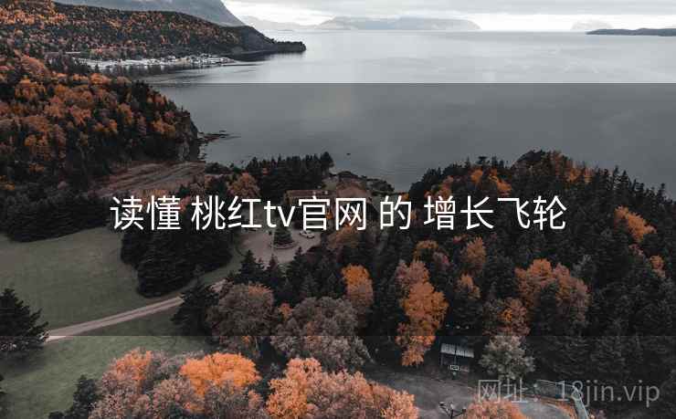 读懂 桃红tv官网 的 增长飞轮