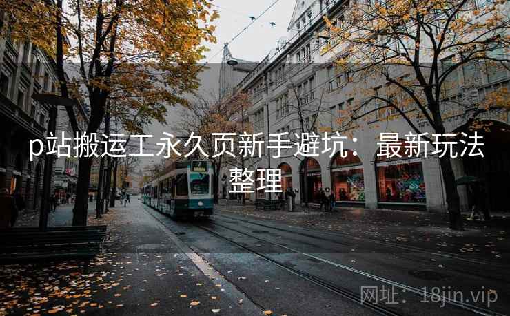 p站搬运工永久页新手避坑：最新玩法整理